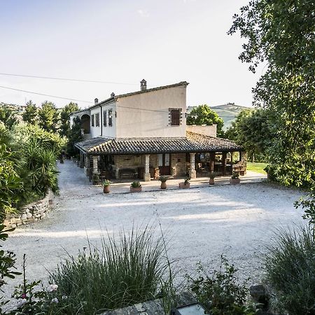 Agriturismo Col Morino Bed and Breakfast Pineto Buitenkant foto