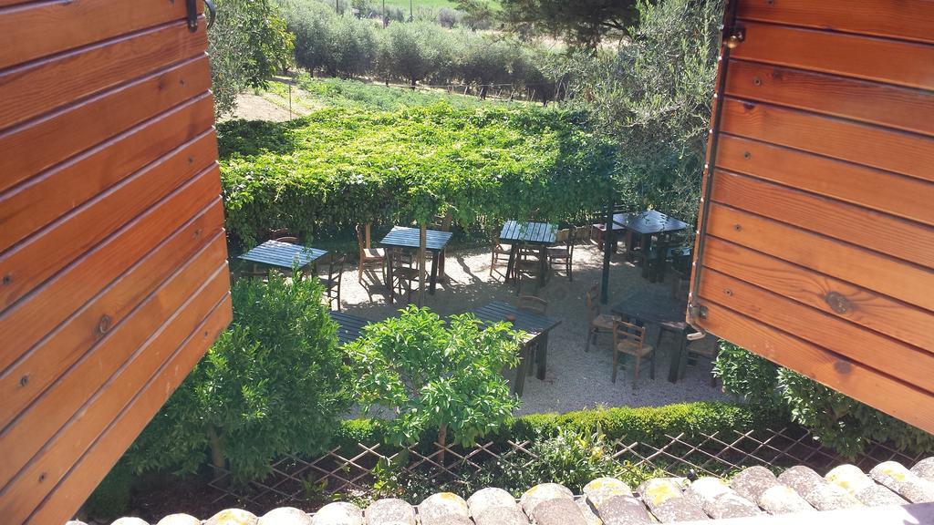 Agriturismo Col Morino Bed and Breakfast Pineto Kamer foto