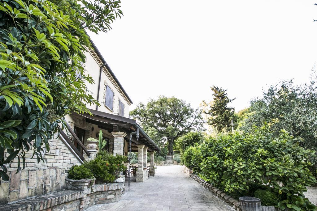 Agriturismo Col Morino Bed and Breakfast Pineto Buitenkant foto